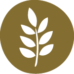 Comida no apta para celiacos